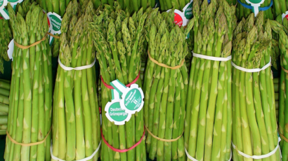 Asparagus – a smelly affair? Time for a mini-blog from Dr Michelle…..