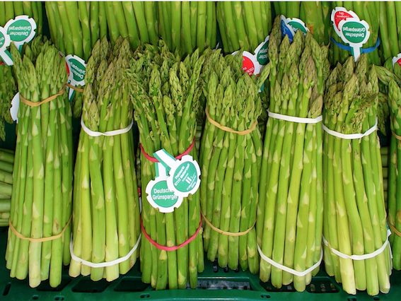 Asparagus – a smelly affair? Time for a mini-blog from Dr Michelle…..