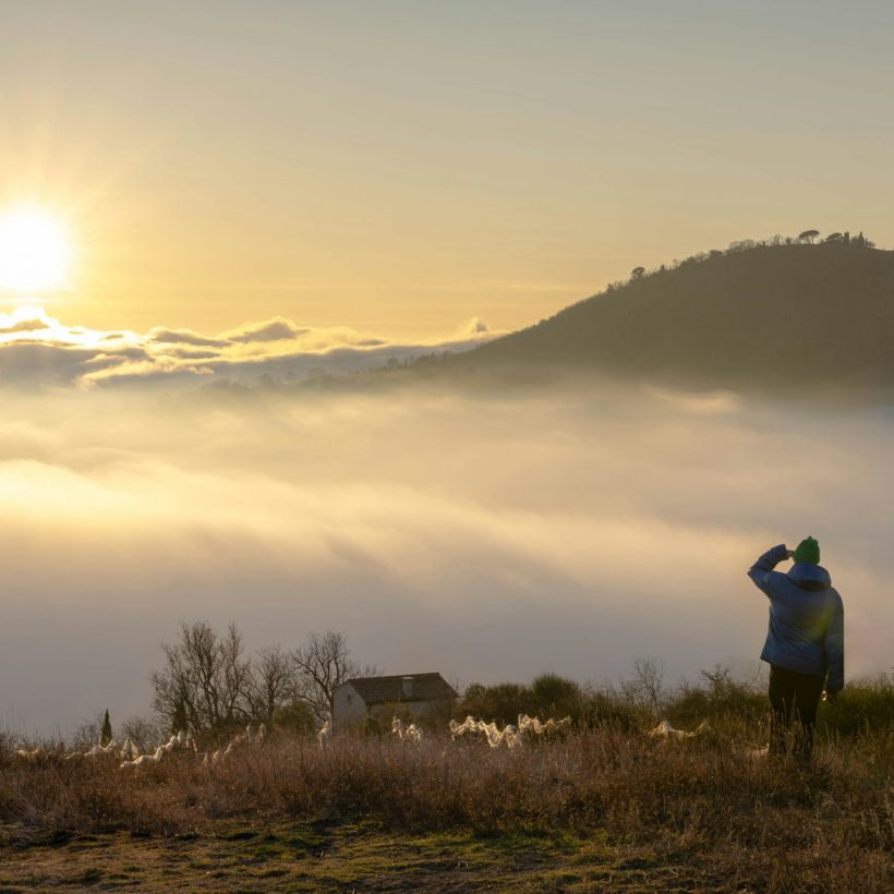 Boost your Vitamin D