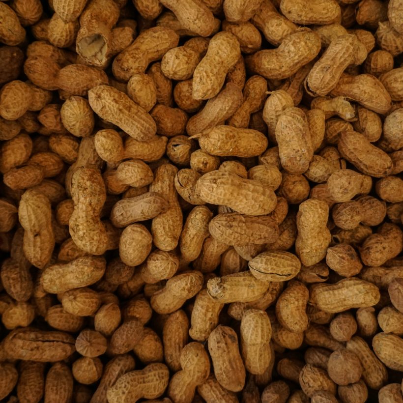 Peanut Allergy