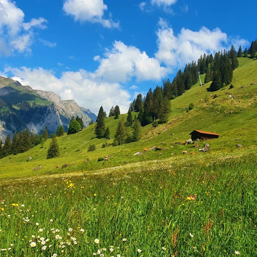 The Power of Nature: Why Getting Outdoors Is Good for Your Health